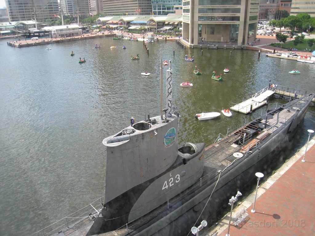 Baltimore MD 2009 1840.jpg - A 4th of July trip to Washington DC in 2009 included a stop in Baltimore MD to see the National Aquarium.